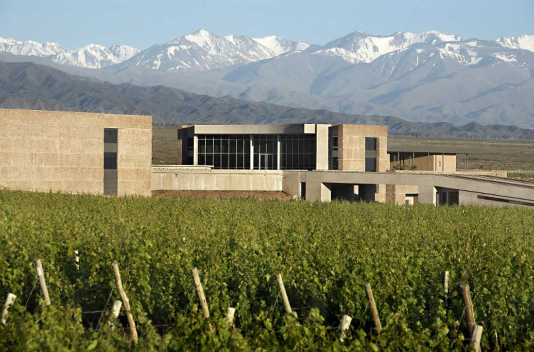 mendoza private wine tours