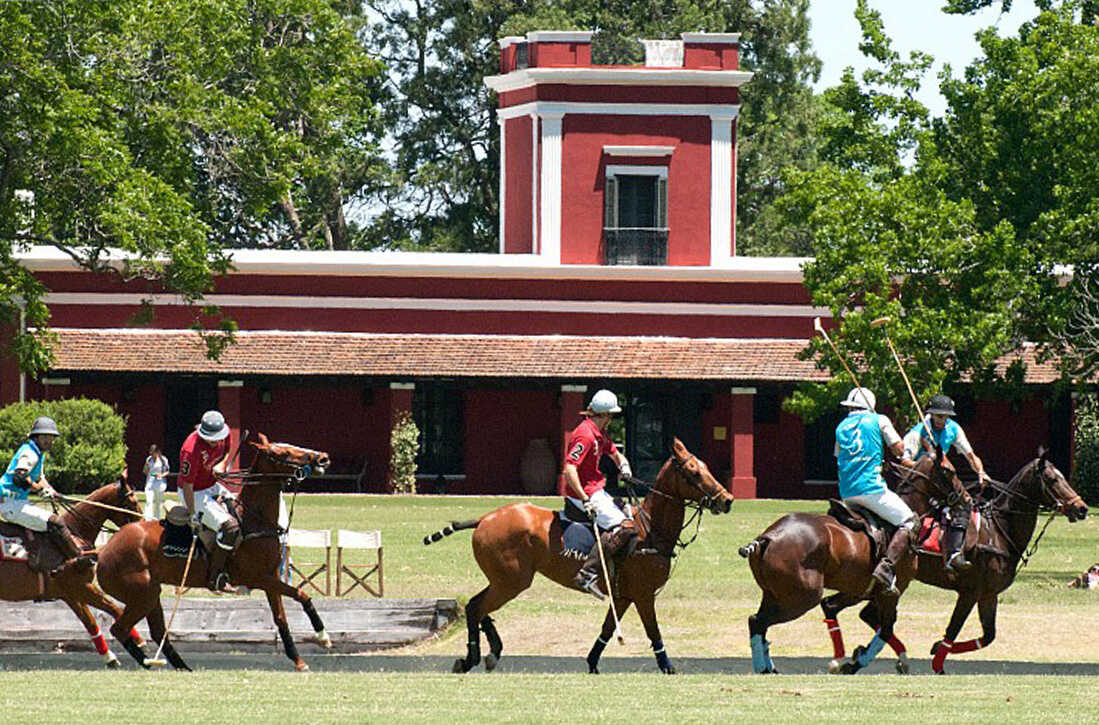 mendoza private wine tours